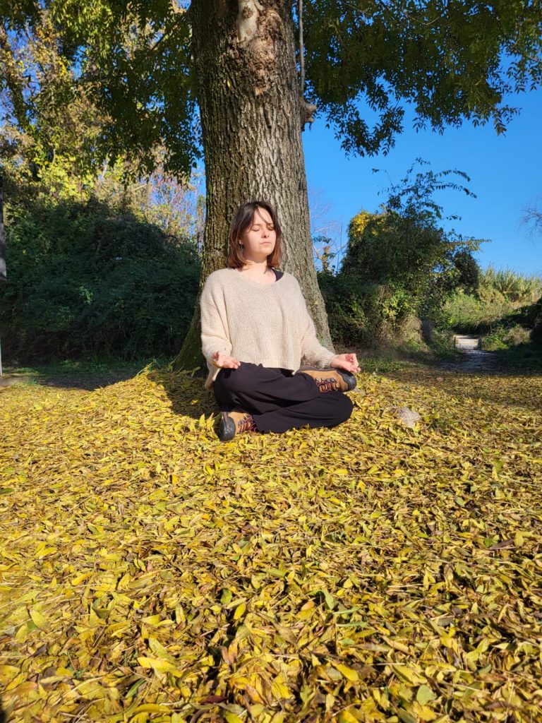 Méditation et hatha yoga
Plélan le Grand